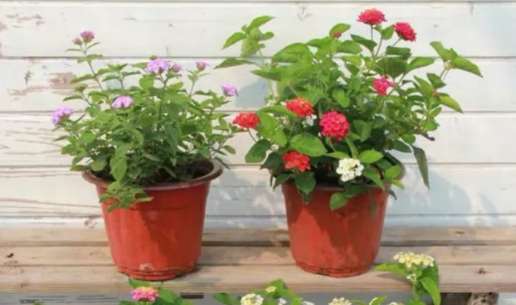 廣場(chǎng)燈具 第131頁(yè)