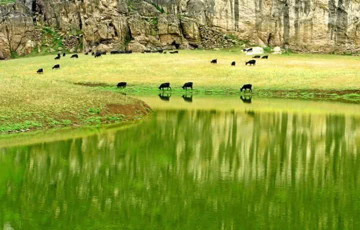 青草最新在線視頻，自然與科技融合之美展現(xiàn)的力量