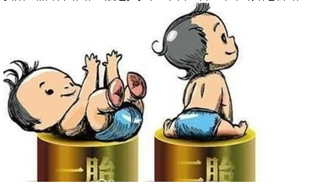 最新雙胞胎補(bǔ)助政策，攜手同行，助力孕育夢(mèng)想之路