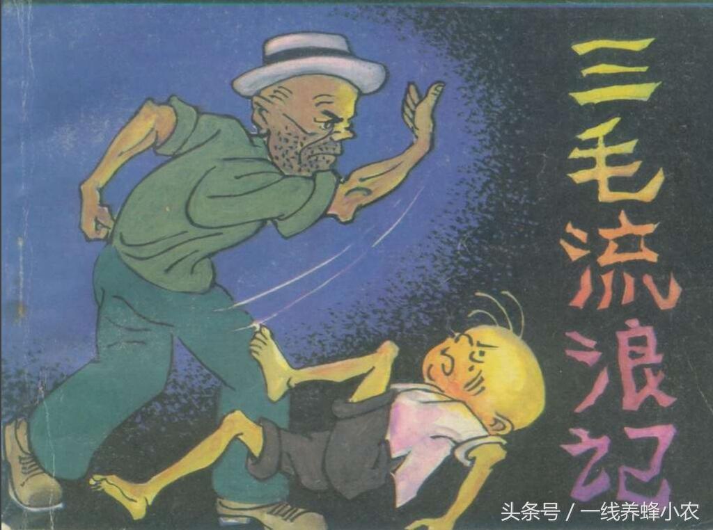 上海三毛最新動態(tài)，自然美景探索之旅啟幕