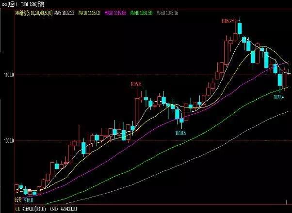 豆油最新行情概覽，市場走勢分析與未來展望