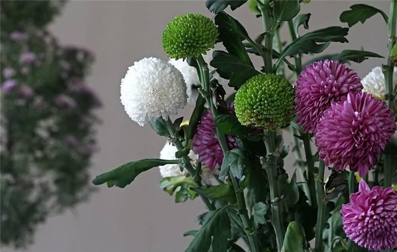 最新娛樂頭條，躍上成功舞臺的魔力之旅，自信與成就感的碰撞