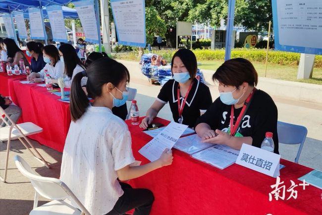 石碣最新招聘動(dòng)態(tài)，把握職業(yè)機(jī)遇，共創(chuàng)美好未來(lái)之路