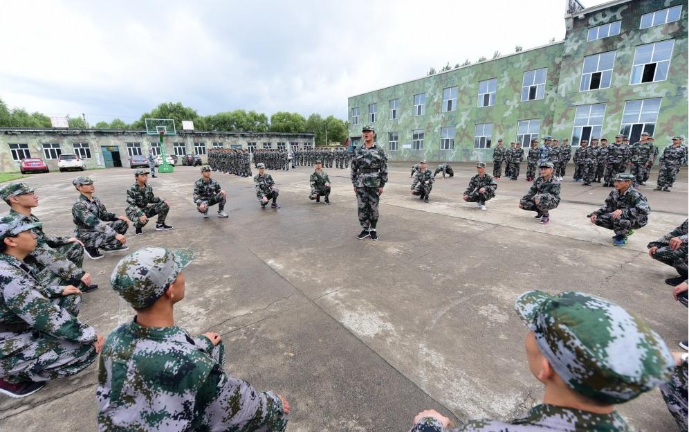 遼寧人才網最新招聘，時代脈搏與人才匯聚的交匯點