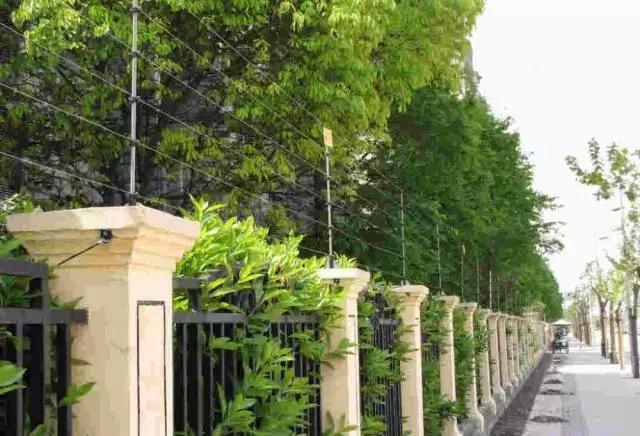 山河藥輔最新動(dòng)態(tài)，引領(lǐng)醫(yī)藥行業(yè)新篇章