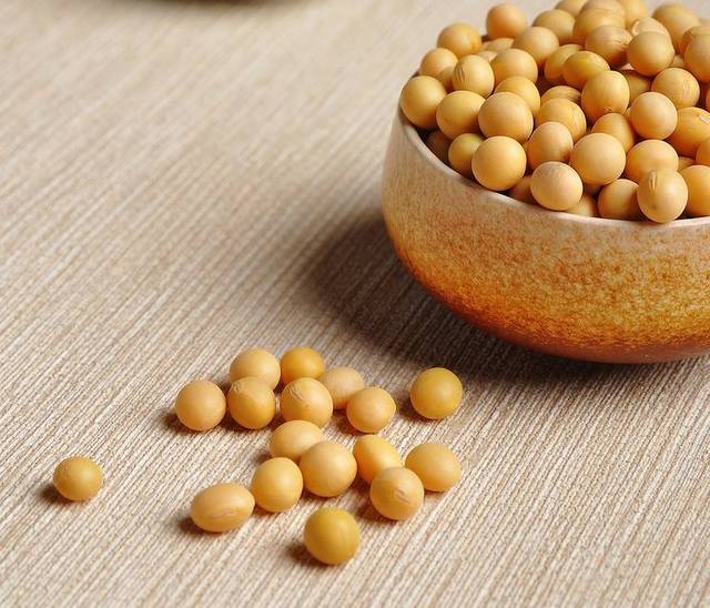 國產(chǎn)大豆最新價格，時代的變遷與影響