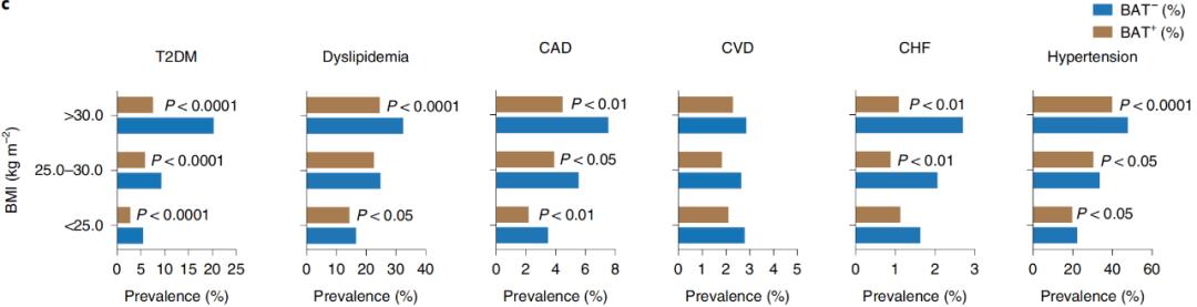 腦疾病最新研究，重塑大腦信心與成就感之路
