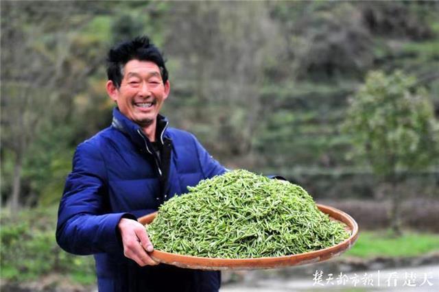 最新夷陵新聞，探索自然美景的旅程，尋覓內(nèi)心平和之地