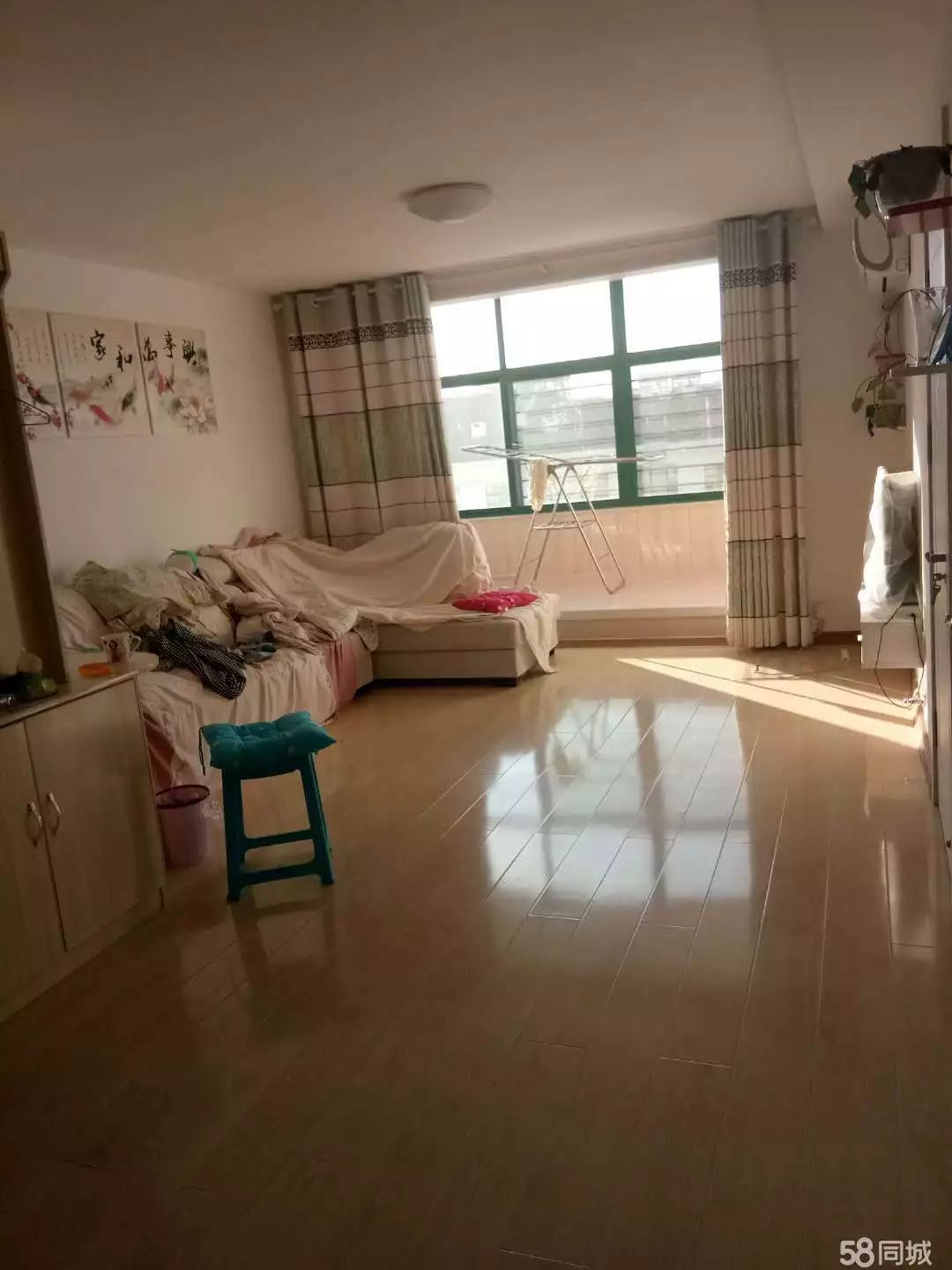 萊西最新個(gè)人租房，窗外世界與自我成長(zhǎng)的旅程