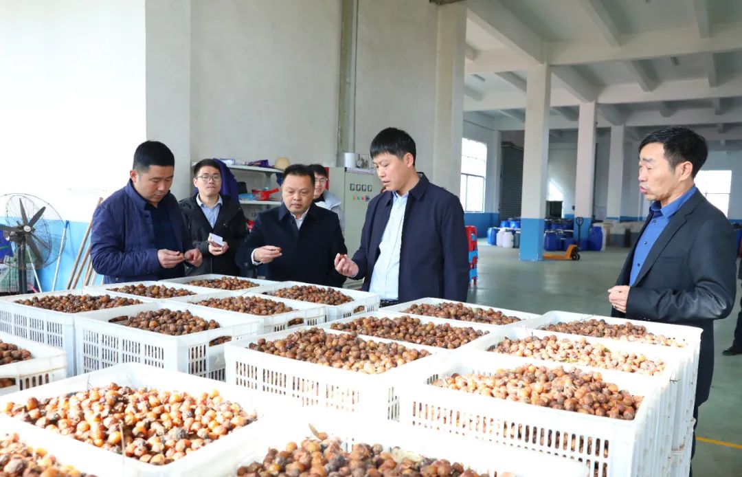 建寧最新新聞，城市溫馨日常與友情力量的展現(xiàn)