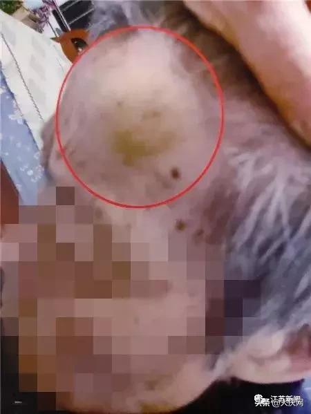 揪脖子最新視頻，探秘小巷風(fēng)情小店，獨(dú)家揭秘！