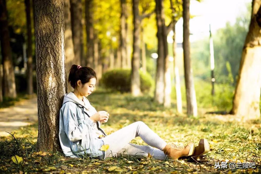 郯城與邳州沖突的深度解析與案例分析，最新進(jìn)展與案例分析