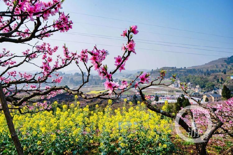 合川最新科技新聞，高科技產(chǎn)品引領(lǐng)未來生活潮流