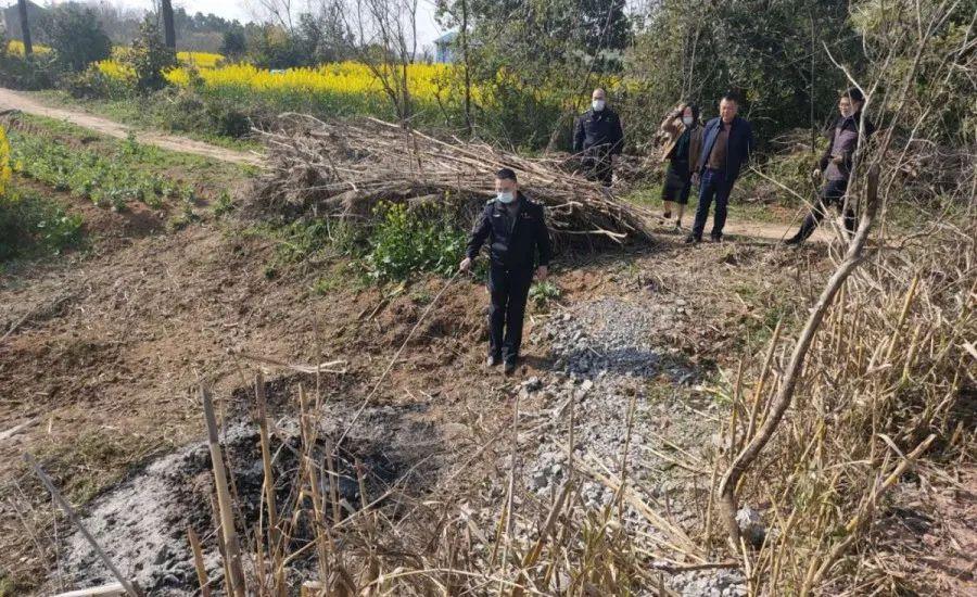 溧陽最新天氣，氣象變遷與地域影響探究