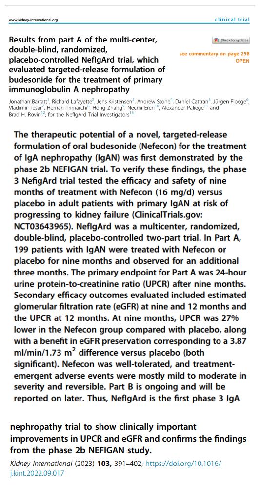 IGA腎病最新突破，醫(yī)學(xué)奇跡在小店中綻放的獨(dú)特魅力