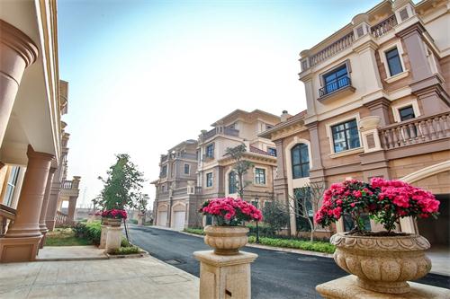 新泰最新樓盤，城市發(fā)展與居住品質(zhì)的新篇章