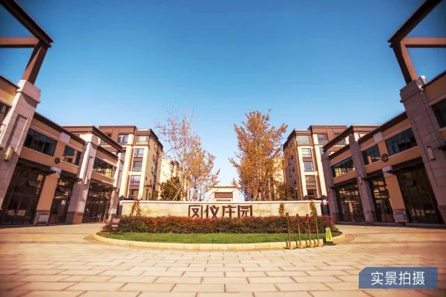 鳳儀莊園最新動(dòng)態(tài)，家的溫馨與友情的綻放時(shí)刻