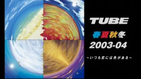 Tube03最新動態(tài)，探索要點、趨勢與發(fā)展