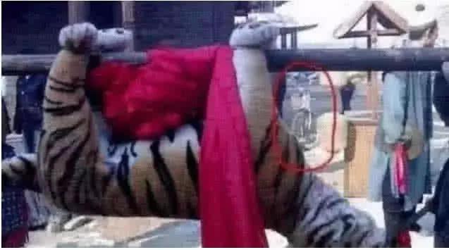 最新打虎消息，探尋內(nèi)心平靜的打虎之旅