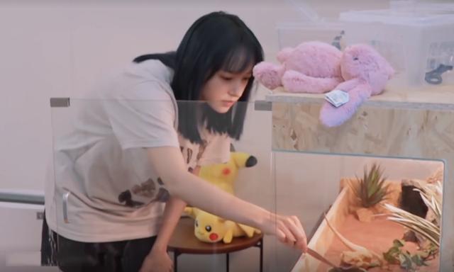 程瀟最新綜藝節(jié)目，心動瞬間，不容錯過！?