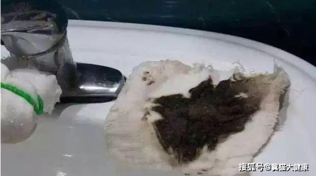 揭秘水污染真相，小杰的河流探索之旅——溫馨河流的秘密揭秘視頻