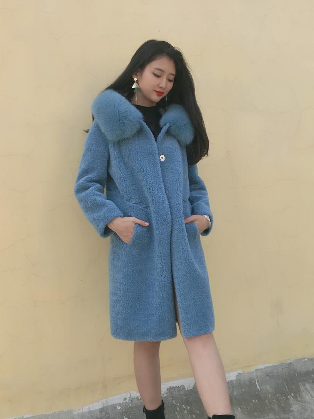 三七花最新價格揭秘，溫馨小故事中的尋找之旅