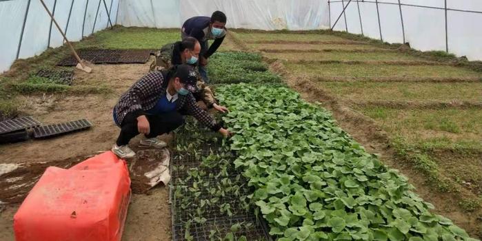 策勒最新招聘啟航人才新篇章，學(xué)習(xí)變化，擁抱自信與成就，啟程人生新征程！