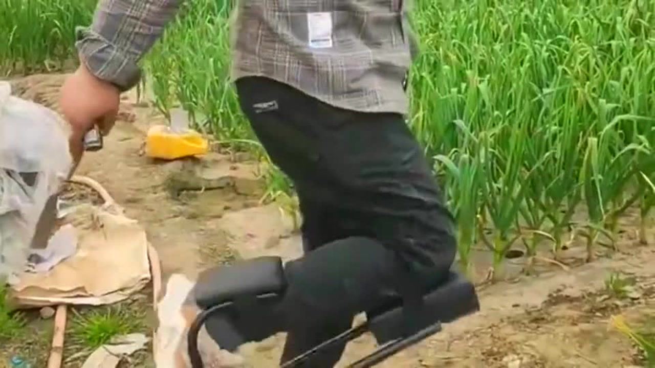 最新挖蒜工具，心靈與自然的完美交融