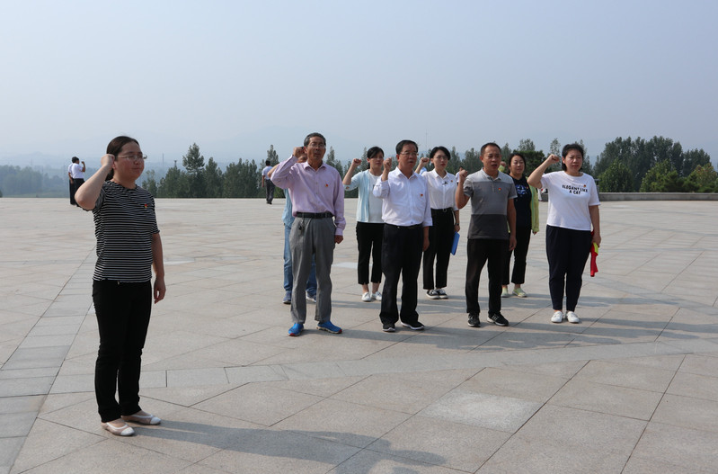 肥城房產(chǎn)最新動(dòng)態(tài)，市場(chǎng)走勢(shì)、熱門區(qū)域與案例分析