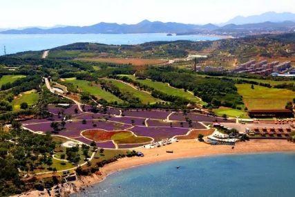 心悅海島探險(xiǎn)攻略，最新任務(wù)指南與探險(xiǎn)體驗(yàn)