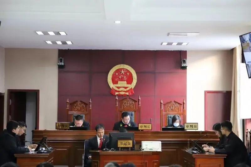 偏關(guān)最新案件深度解析，揭示真相，關(guān)注社會公正與公平