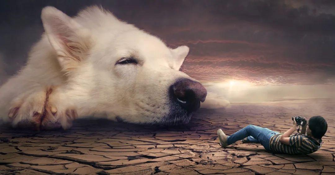 夢(mèng)境最新研究揭秘，探索人類夢(mèng)境的奧秘