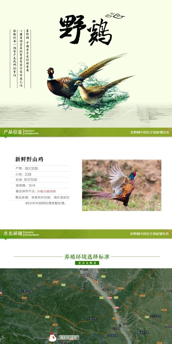 深度剖析，最新山雞的背景、事件與地位概述