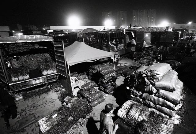 掌握新技能與完成任務(wù)，最新趨勢(shì)下的步驟指南