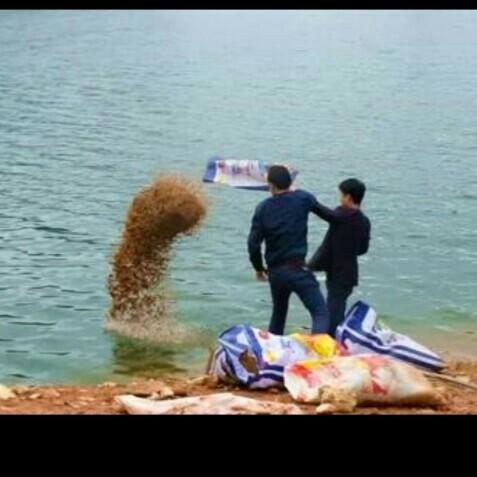 科學(xué)釣魚(yú)最新探索，學(xué)習(xí)與實(shí)踐的成就感之旅