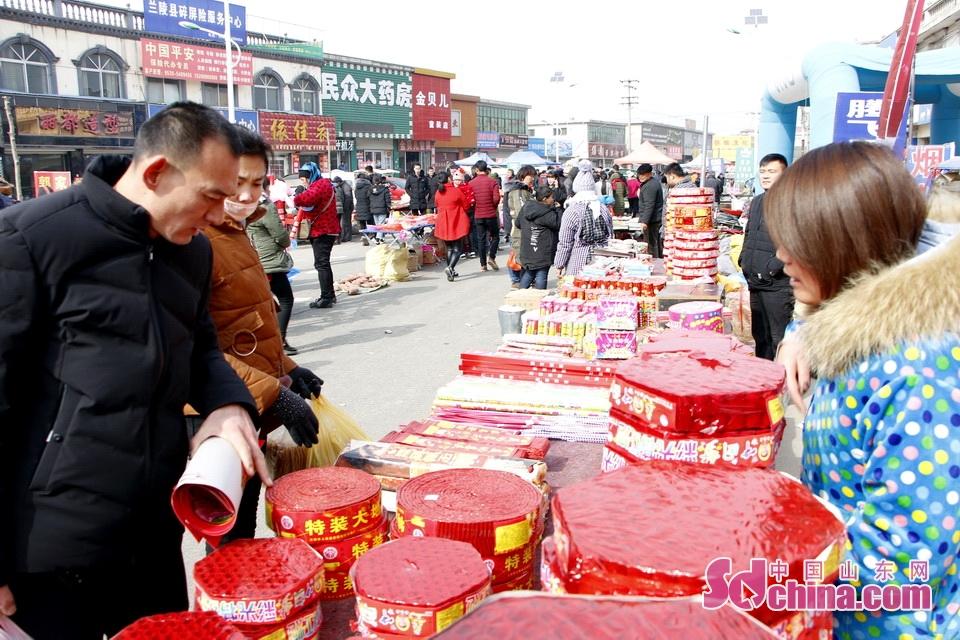 淘元素最新，淘淘的奇妙冒險(xiǎn)之旅與友情的溫暖體驗(yàn)