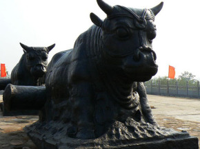 鐵牛視頻最新精彩呈現(xiàn)，領(lǐng)略與眾不同的世界！