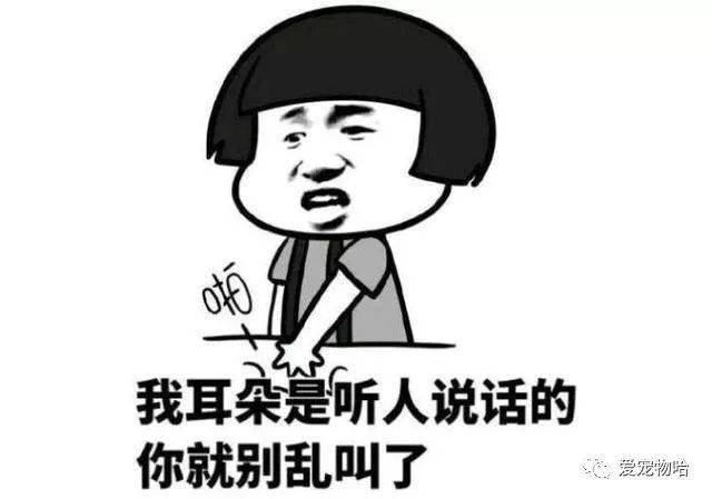 最新枕邊笑話，科技小寶貝，生活添樂趣