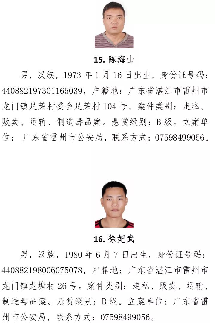 最新湛江人，掌握新技能與任務(wù)完成步驟指南