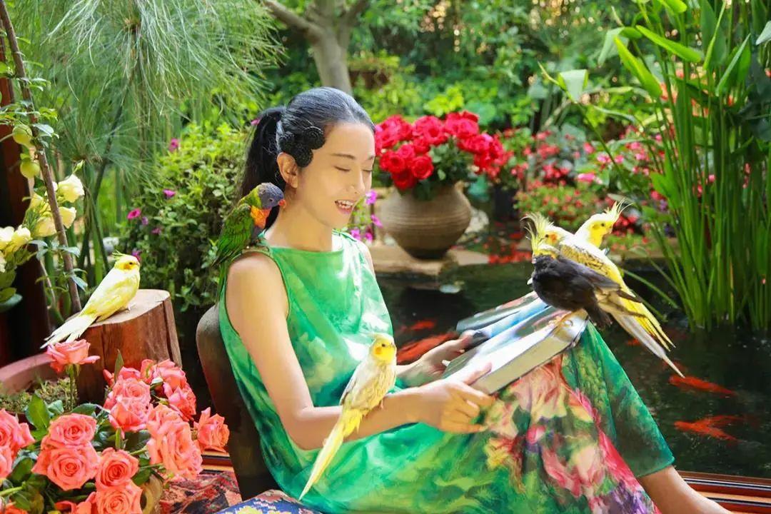 昆明最新舞蹈，文化現(xiàn)象的深度探討