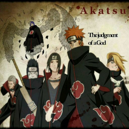 曉組織最新動態(tài)揭秘，探究其發(fā)展與影響