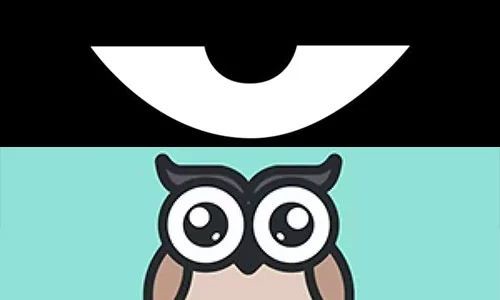 最新積目，全面解讀與觀點(diǎn)闡述