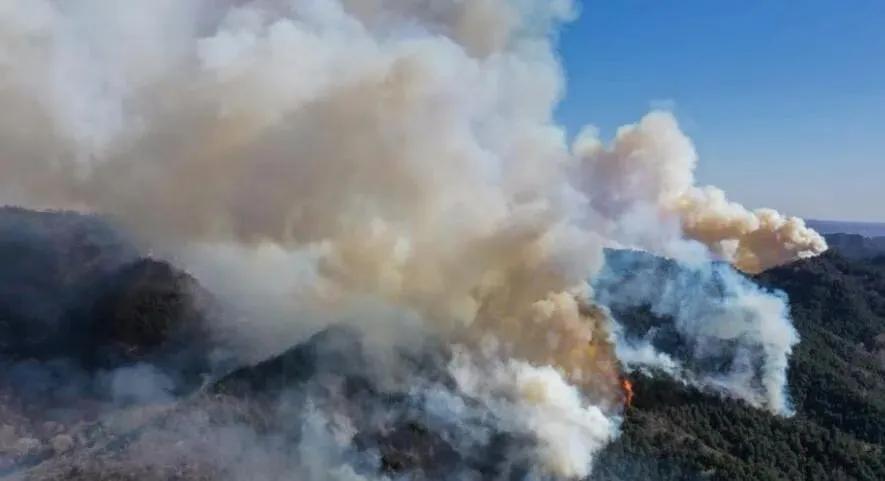 榆社山火防控指南，從初學者到進階用戶的全步驟學習與防火任務實踐