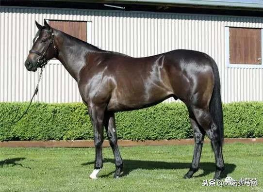 卡拉卡最新指南，任務(wù)完成與技能學(xué)習(xí)步驟攻略