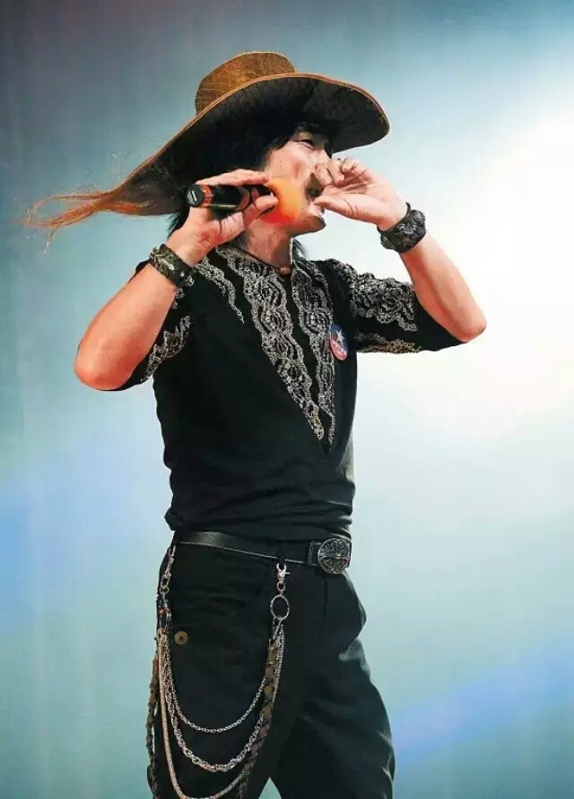 指哨最新，自然美景之旅，探尋內(nèi)心平靜與喜悅的旅程