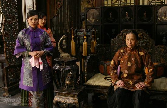 鐵梨花最新更新，日常生活中的趣事與情感紐帶