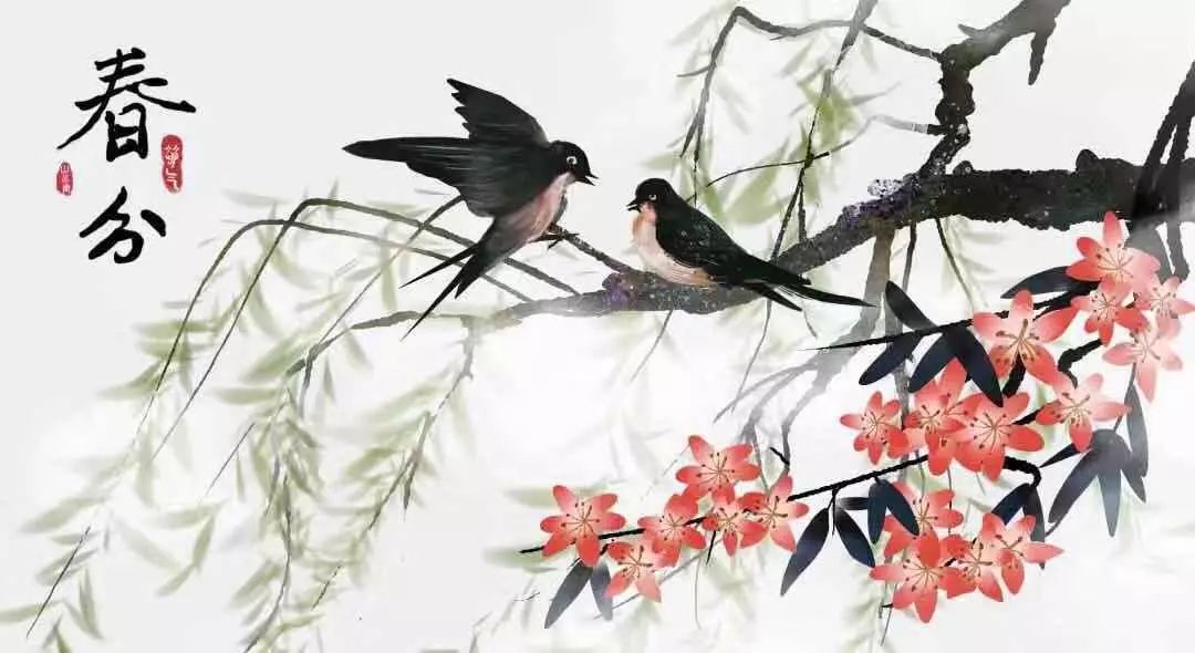 春分最新圖片，展現自然之美的瞬間