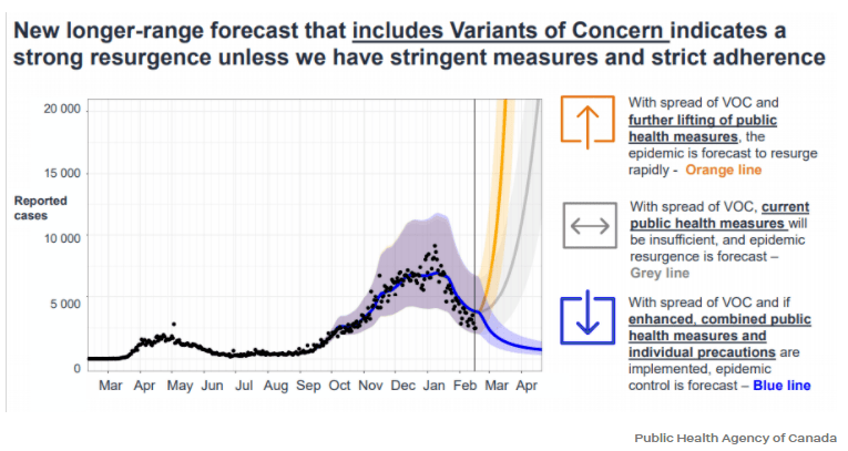 約克最新疫情動態(tài)，學(xué)習(xí)變化中的自信與成就力量