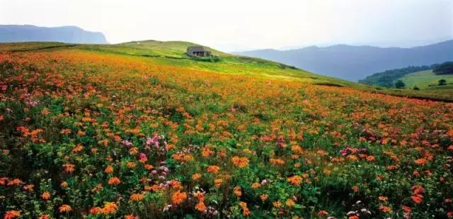 晉城最新景區(qū)游玩攻略指南