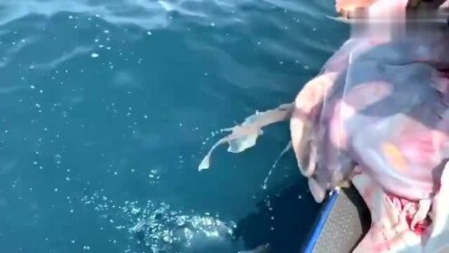 最新魚人流技術(shù)革命，高科技產(chǎn)品重塑未來生活體驗(yàn)